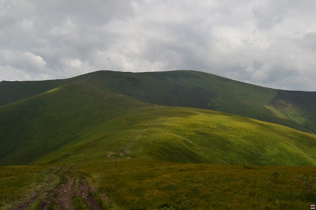img00028.jpg