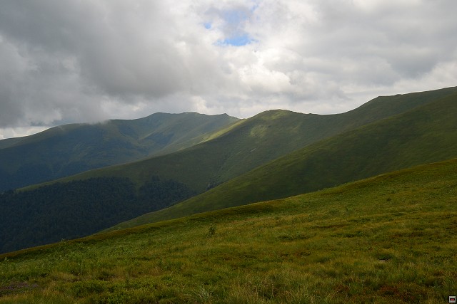 img00029.jpg