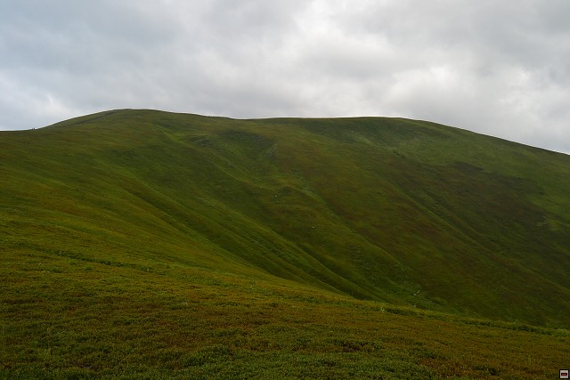 img00030.jpg