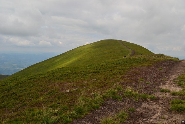 img00034.jpg