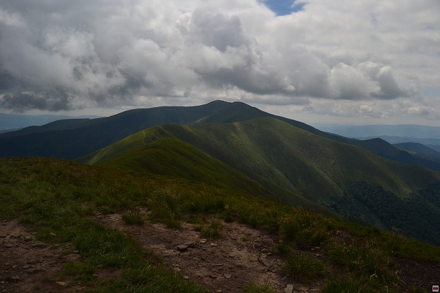 img00038.jpg