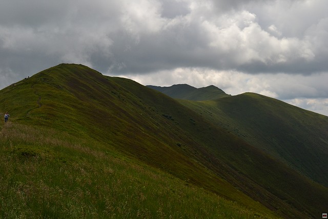 img00040.jpg