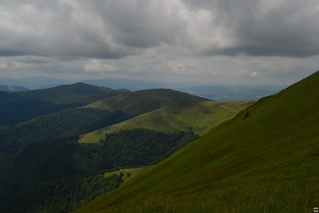 img00041.jpg
