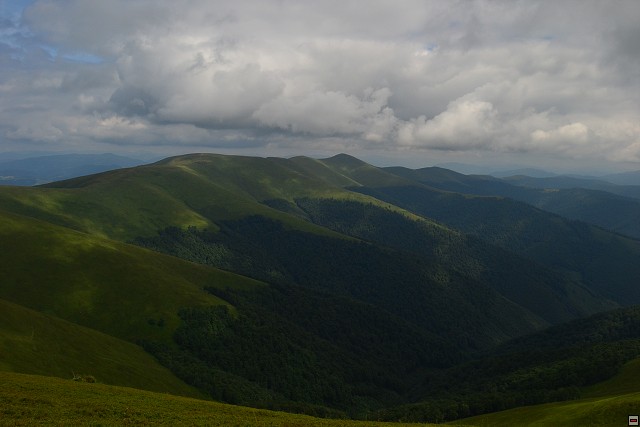img00042.jpg