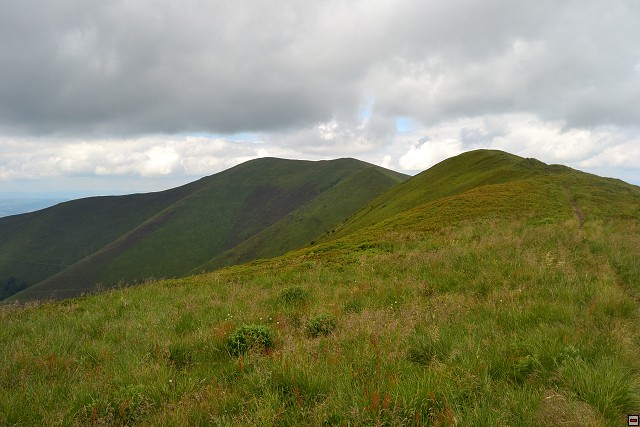 img00045.jpg
