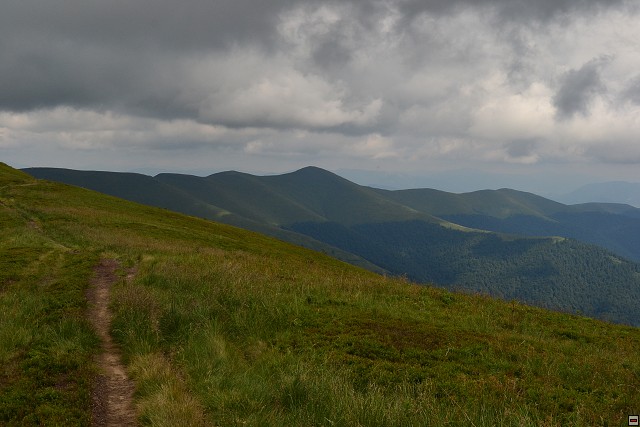 img00046.jpg