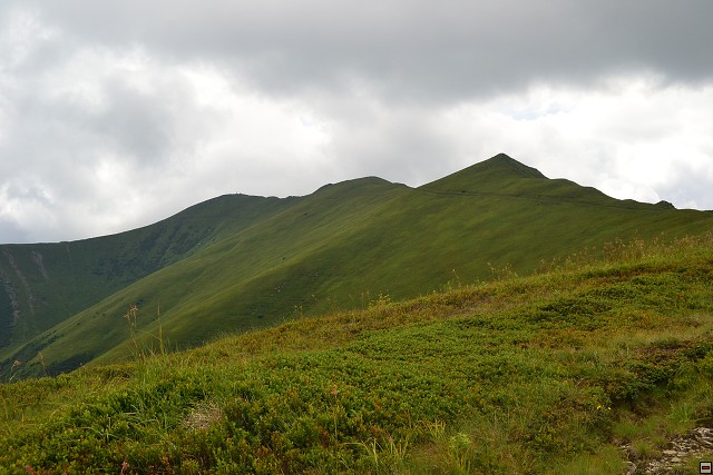 img00048.jpg