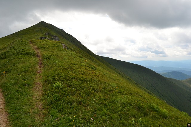 img00049.jpg