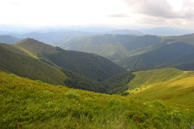 img00050.jpg
