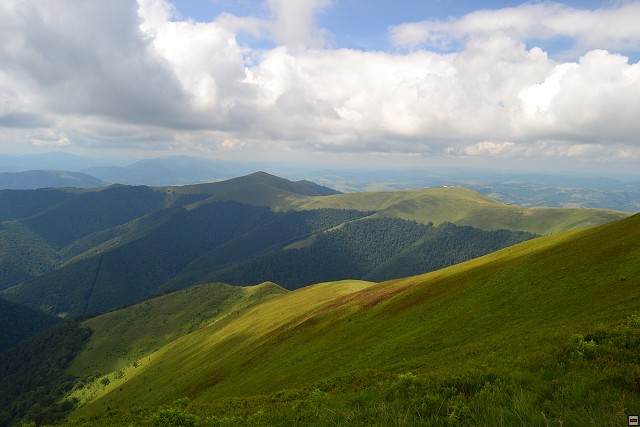 img00051.jpg
