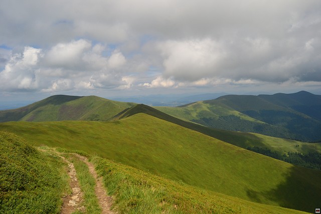 img00053.jpg