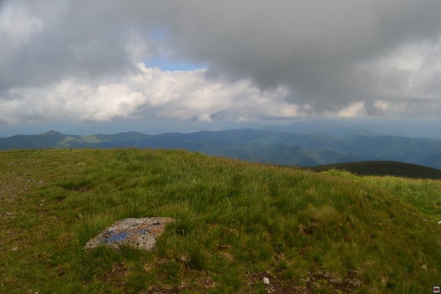 img00059.jpg