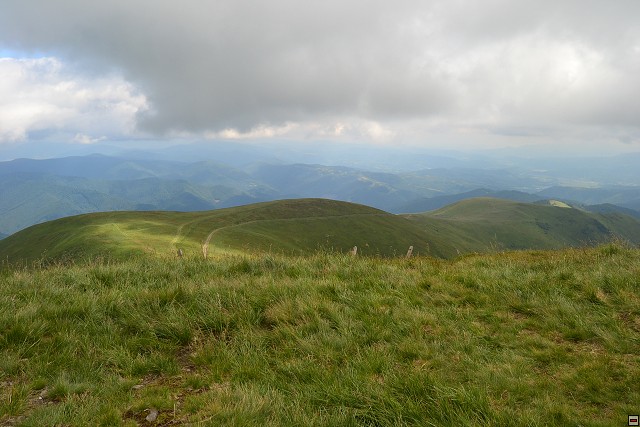 img00063.jpg