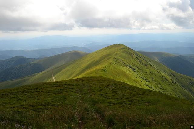 img00066.jpg