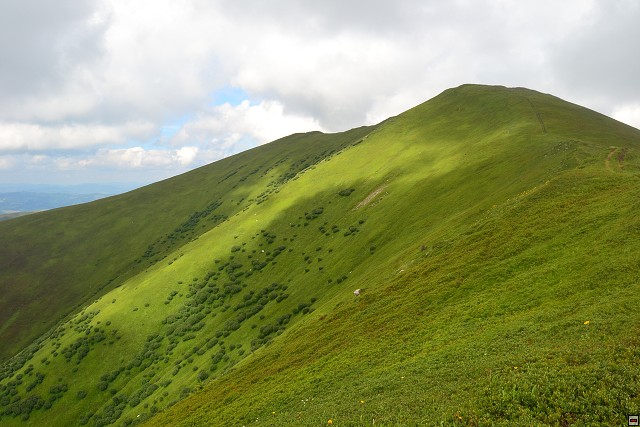 img00067.jpg