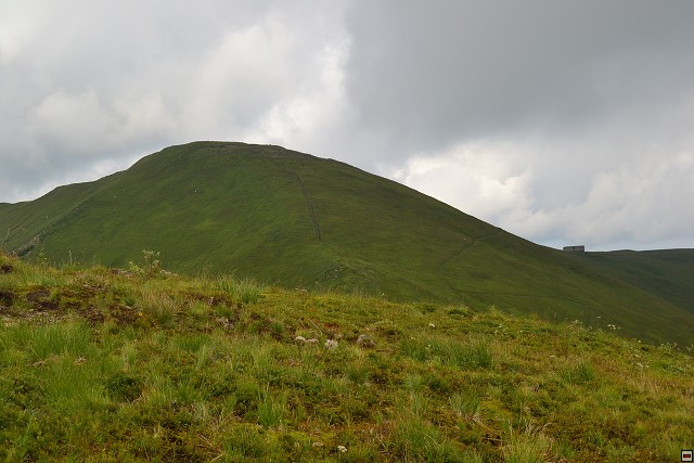 img00069.jpg