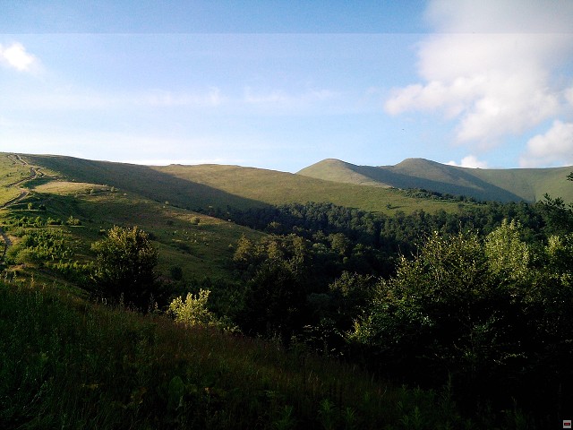 img00071.jpg