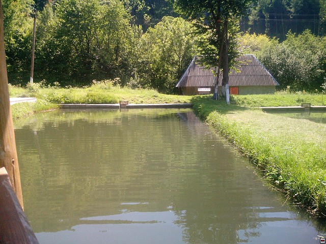 img00072.jpg