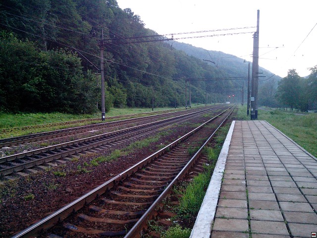 img00076.jpg