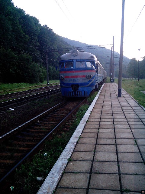 img00079.jpg