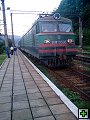 thn00078.jpg