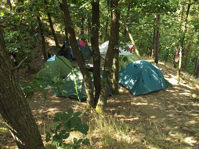 img00001.jpg