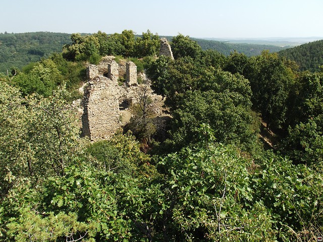 img00005.jpg