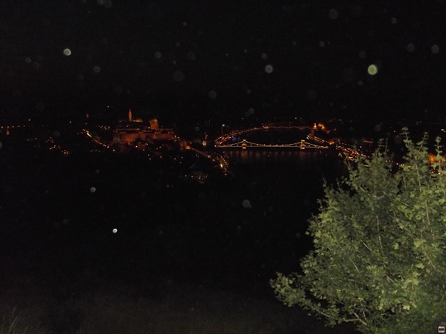 img00014.jpg