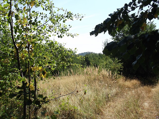 img00034.jpg
