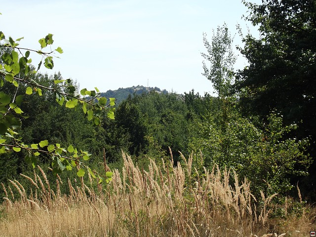 img00035.jpg