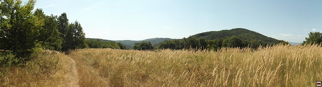 img00036.jpg