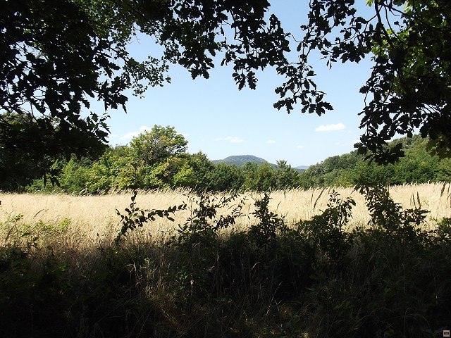 img00038.jpg