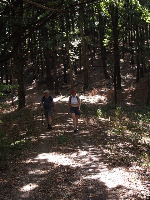 img00042.jpg