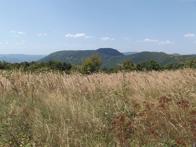 img00044.jpg