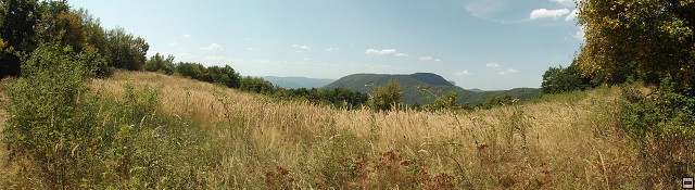 img00045.jpg