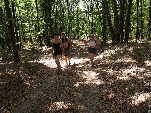 img00046.jpg