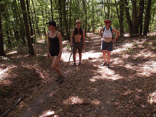 img00047.jpg