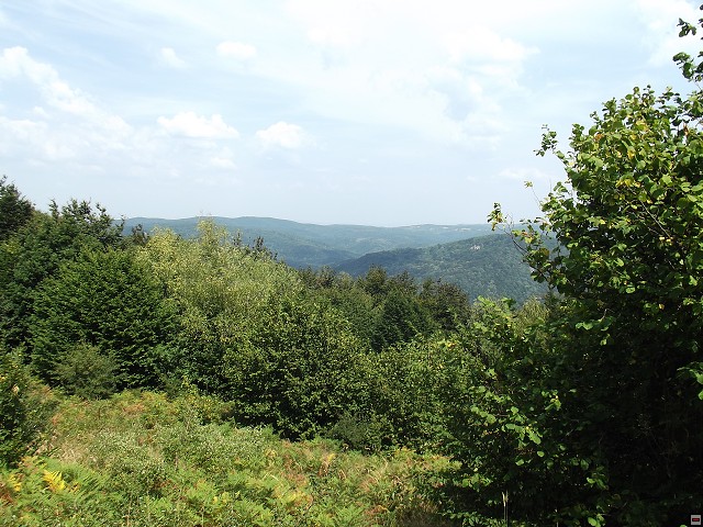 img00055.jpg
