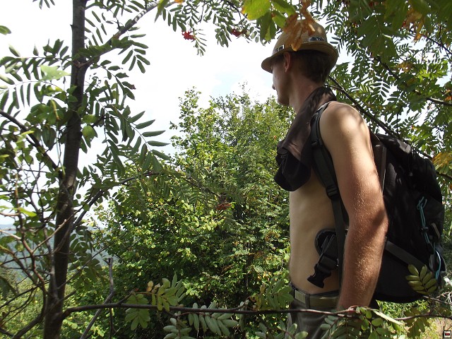 img00059.jpg