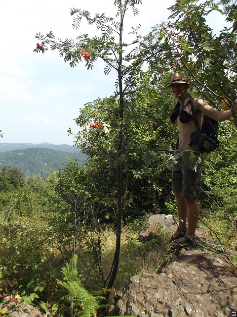 img00060.jpg