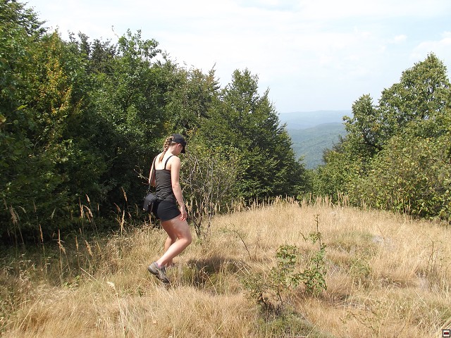 img00062.jpg