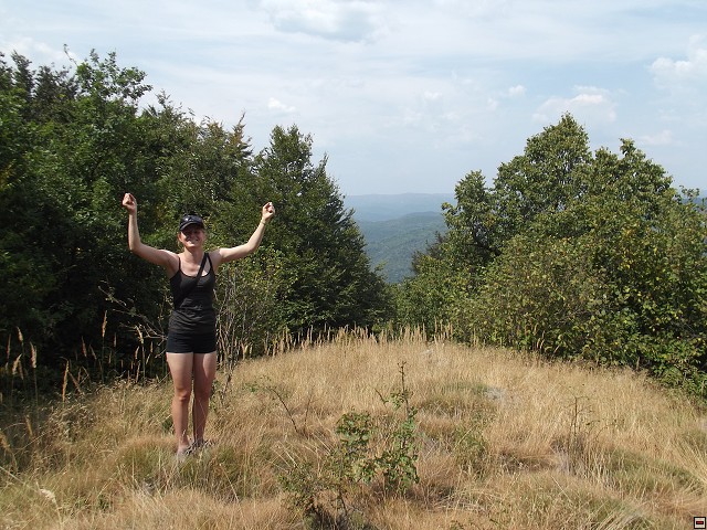 img00064.jpg