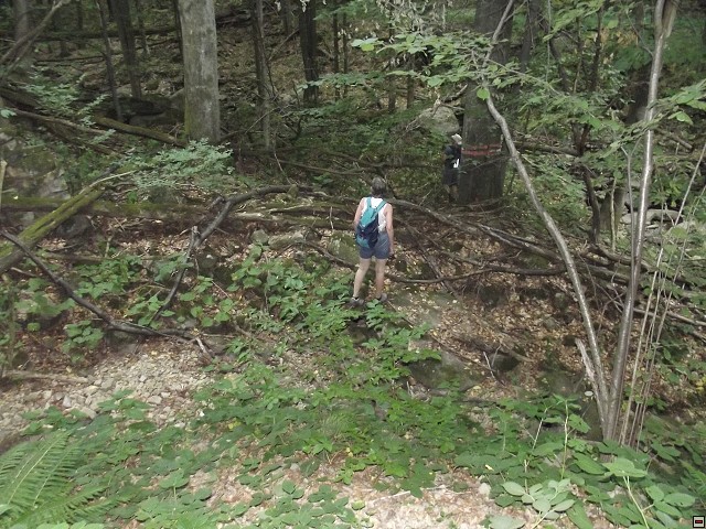 img00067.jpg