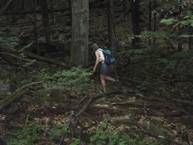 img00069.jpg