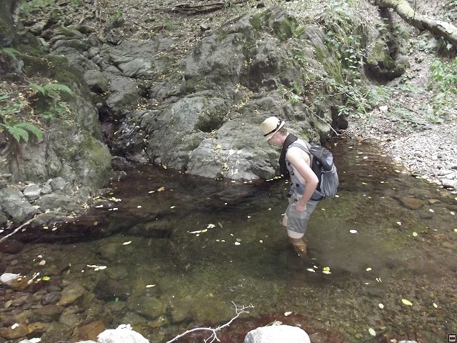 img00070.jpg