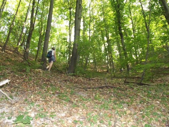 img00071.jpg