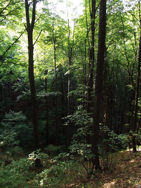img00074.jpg