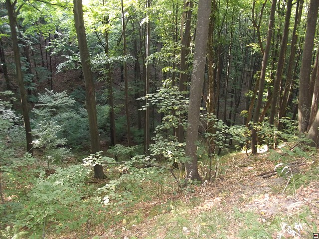 img00075.jpg