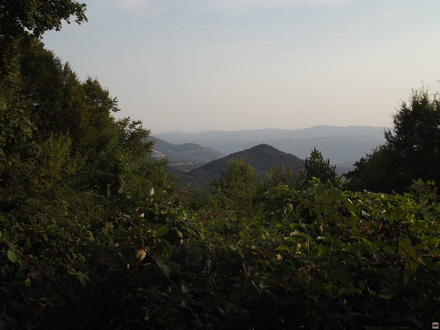 img00077.jpg