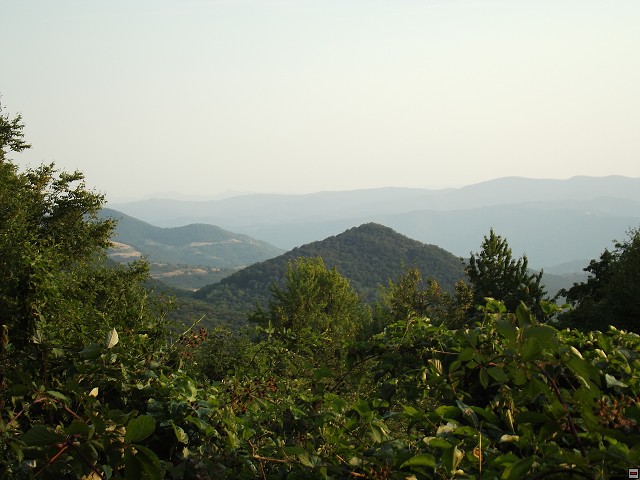 img00078.jpg